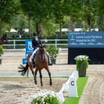 Murcia acoge el Campeonato de España de Caballos Jóvenes de Doma Clásica