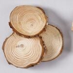 Del bosque a la tela. - from Wood to Fiber