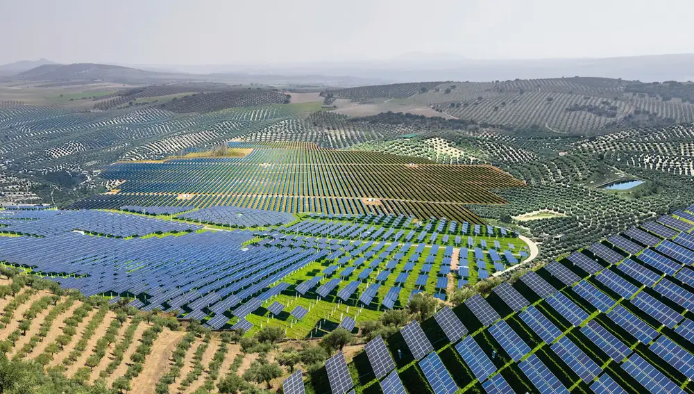 Ilustración de portada : olivos por placas solares