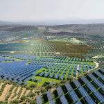 Ilustración de portada : olivos por placas solares