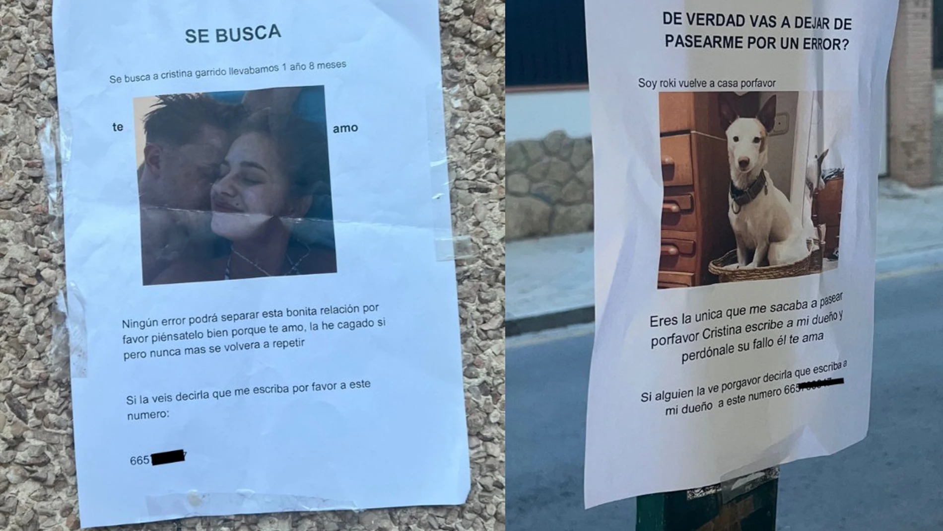Uno de los carteles que el joven ha colgado