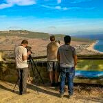El Estrecho de Gibraltar representa una de la grandes mecas mundiales a nivel de migraciones