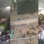 Okupas destrozan una casa en Asturias