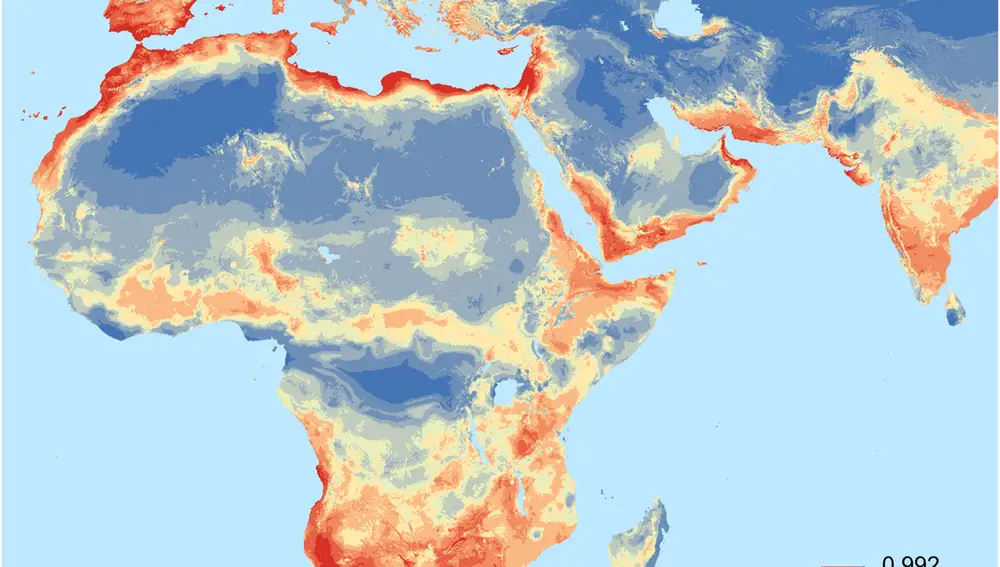 Modelo de distribución mundial de Trithemis kirbyi. En rojo las zonas idóneas para esta especie y en azul las áreas desfavorables