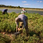 Reportaje fruterías “La Huerta de Aranjuez” © Alberto R. Roldán / La Razón