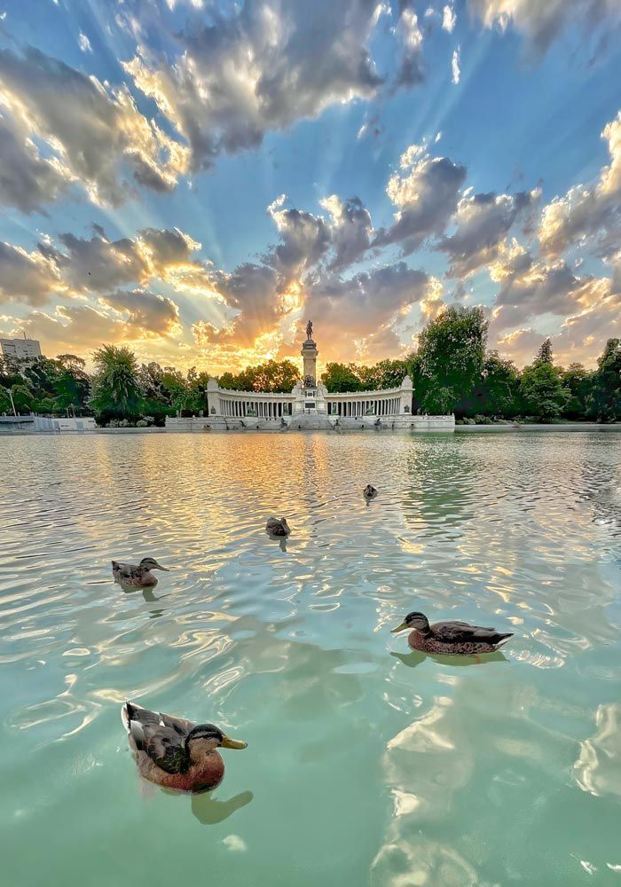 rayos del sol al amanecer con la presencia de cinco ánades reales flotando sobre el agua.