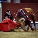 Mucha percha y poca bravura