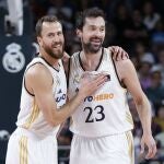 Sergio Rodríguez y Llull estarán en el Clásico