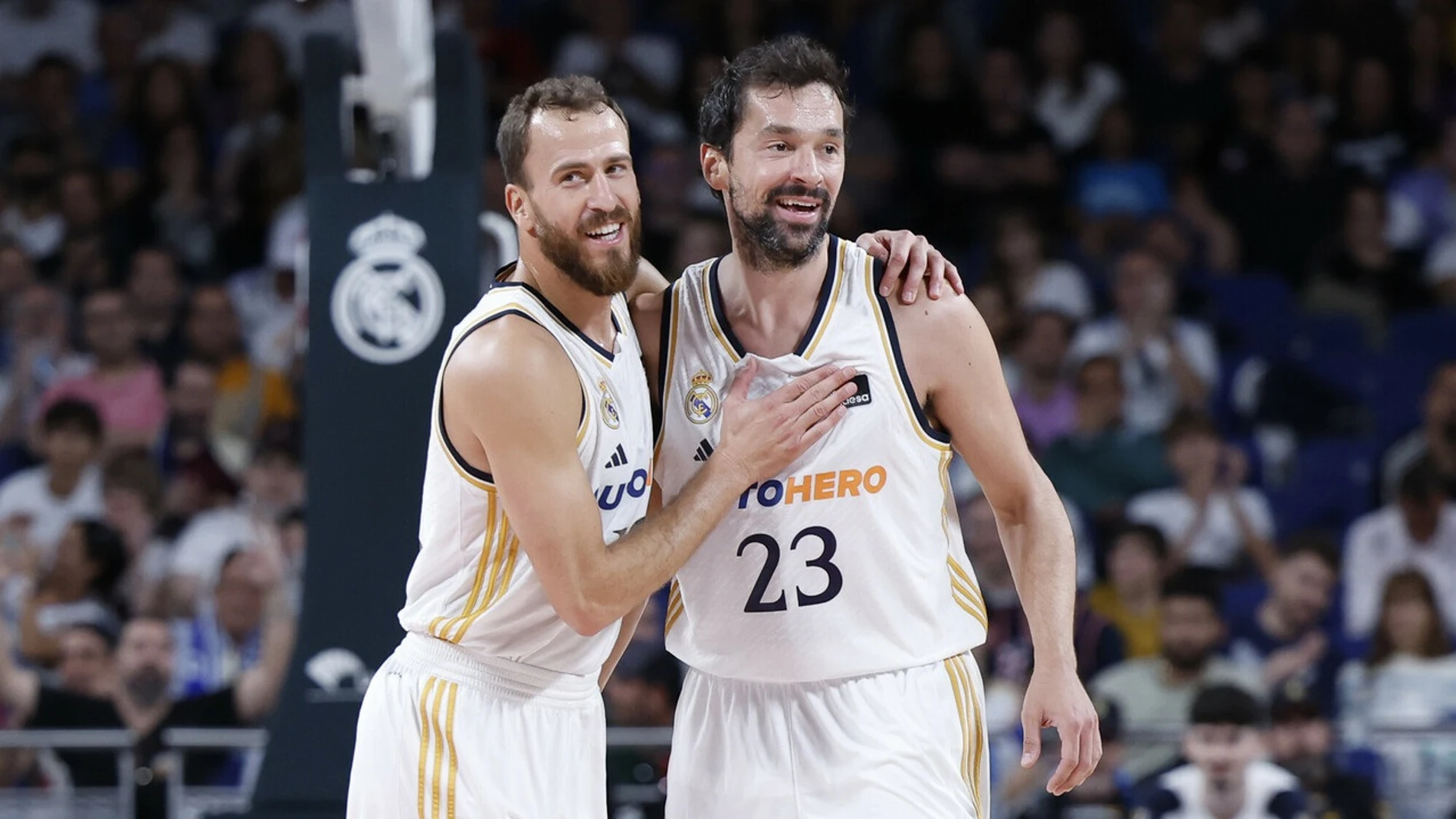Sergio Rodríguez y Llull estarán en el Clásico