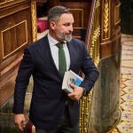 Santiago Abascal, líder de VOX