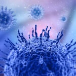 Virus