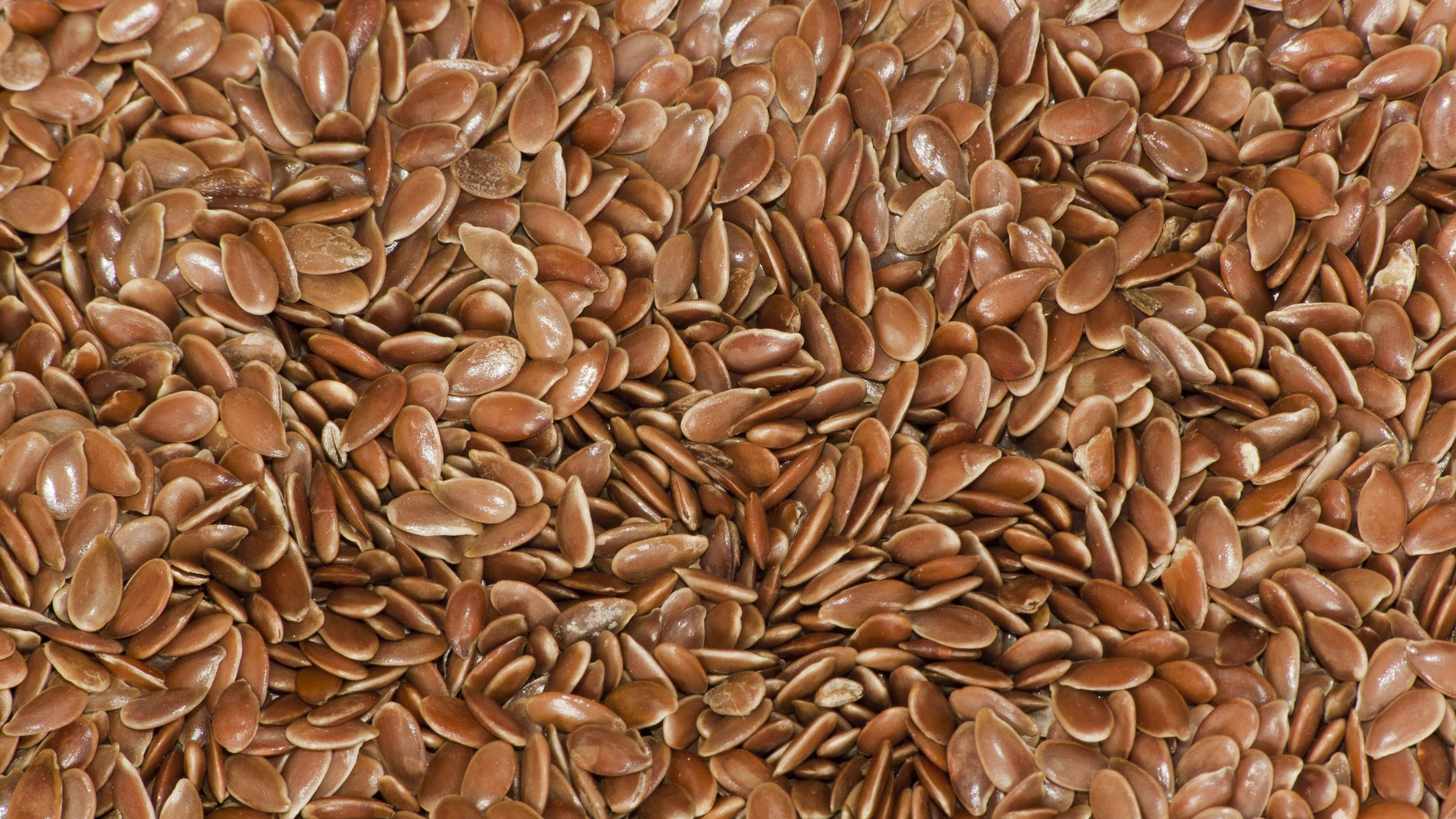 Los superalimentos contienen múltiples nutrientes y beneficios para la salud