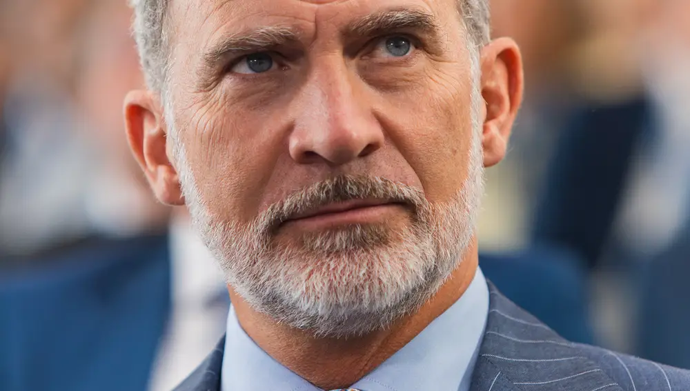 El Rey Felipe VI