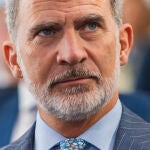 El Rey Felipe VI
