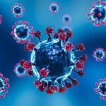 Imagen del virus de la covid-19