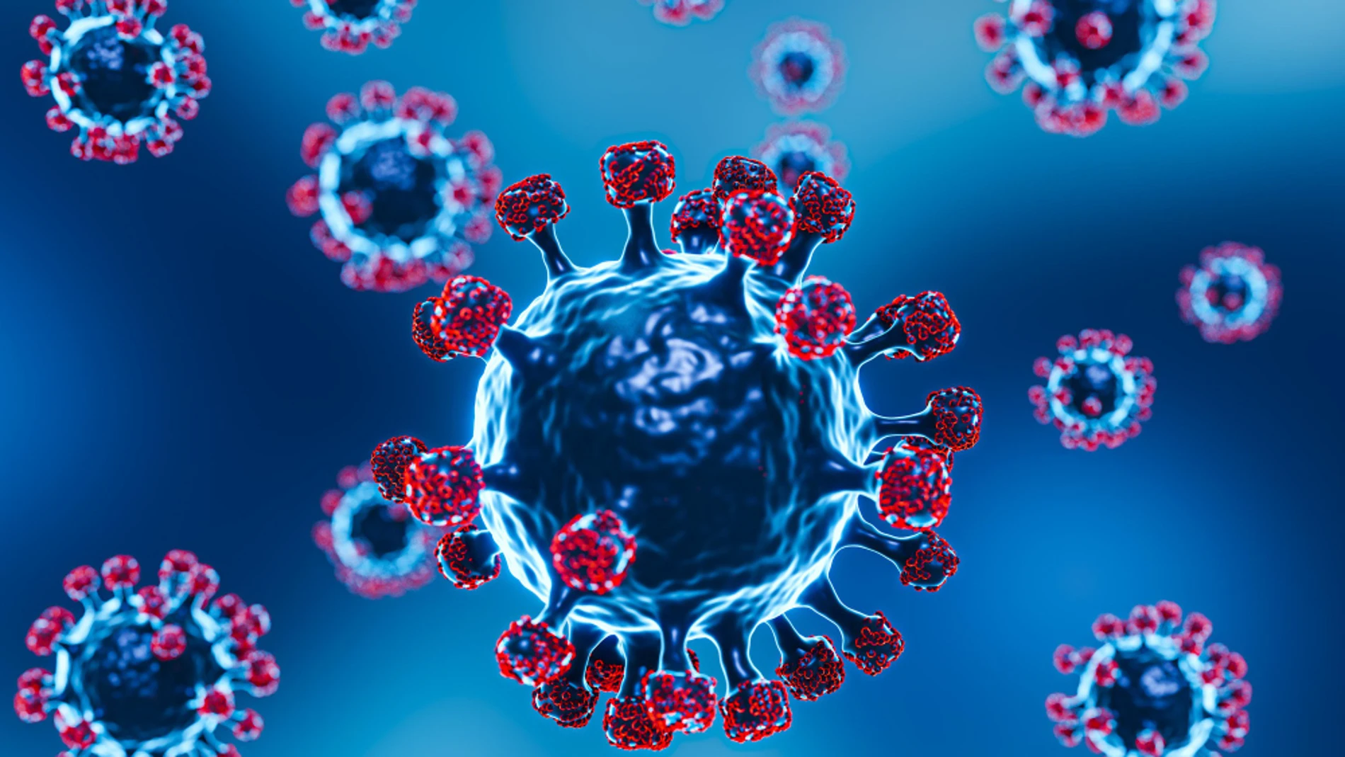 Imagen del virus de la covid-19