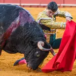 FERIA DE SAN MIGUEL EN SEVILLA