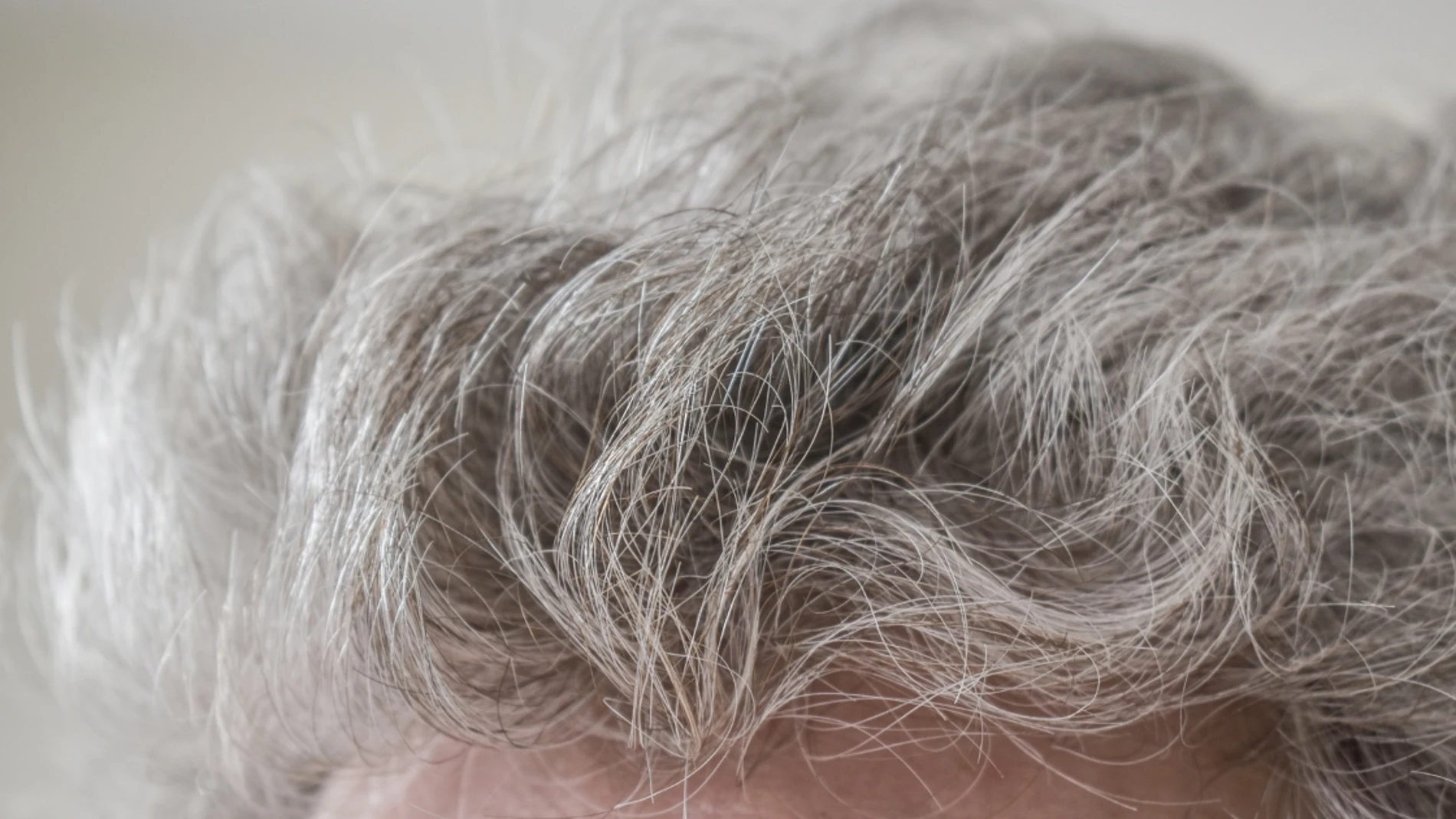 Un estudio de Harvard explica por qué las canas no son simplemente cuestión de edad