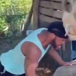 El hombre que lucha cabeza con cabeza con una cabra