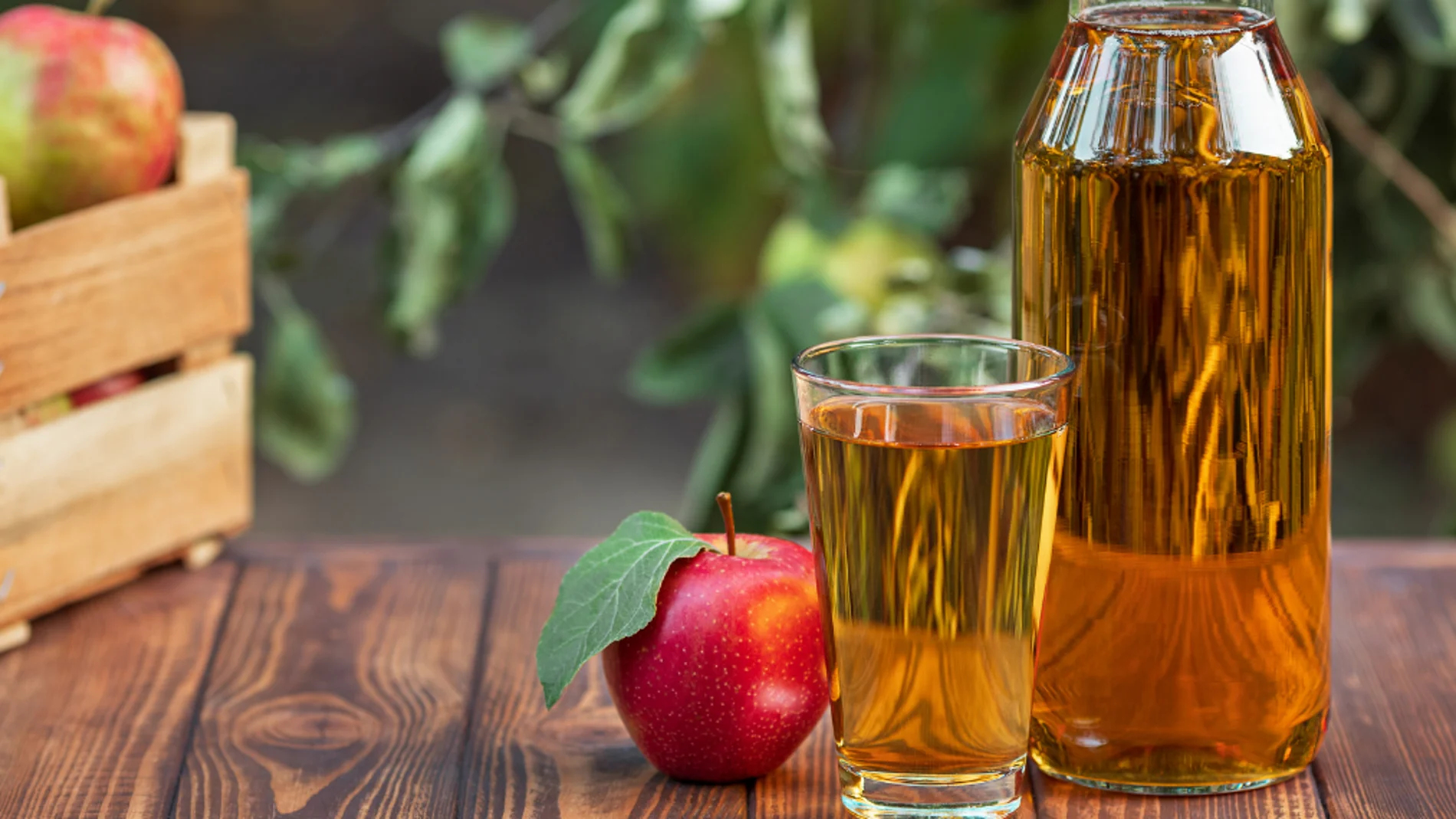 ¿Conoces los beneficios del vinagre de manzana en ayunas?