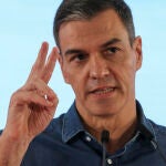 Acto del PSOE en Granada con Pedro Sánchez