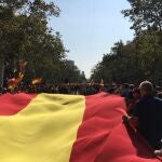 La bandera espa&ntilde;ola en la manifestaci&oacute;n del 8-O de Barcelona