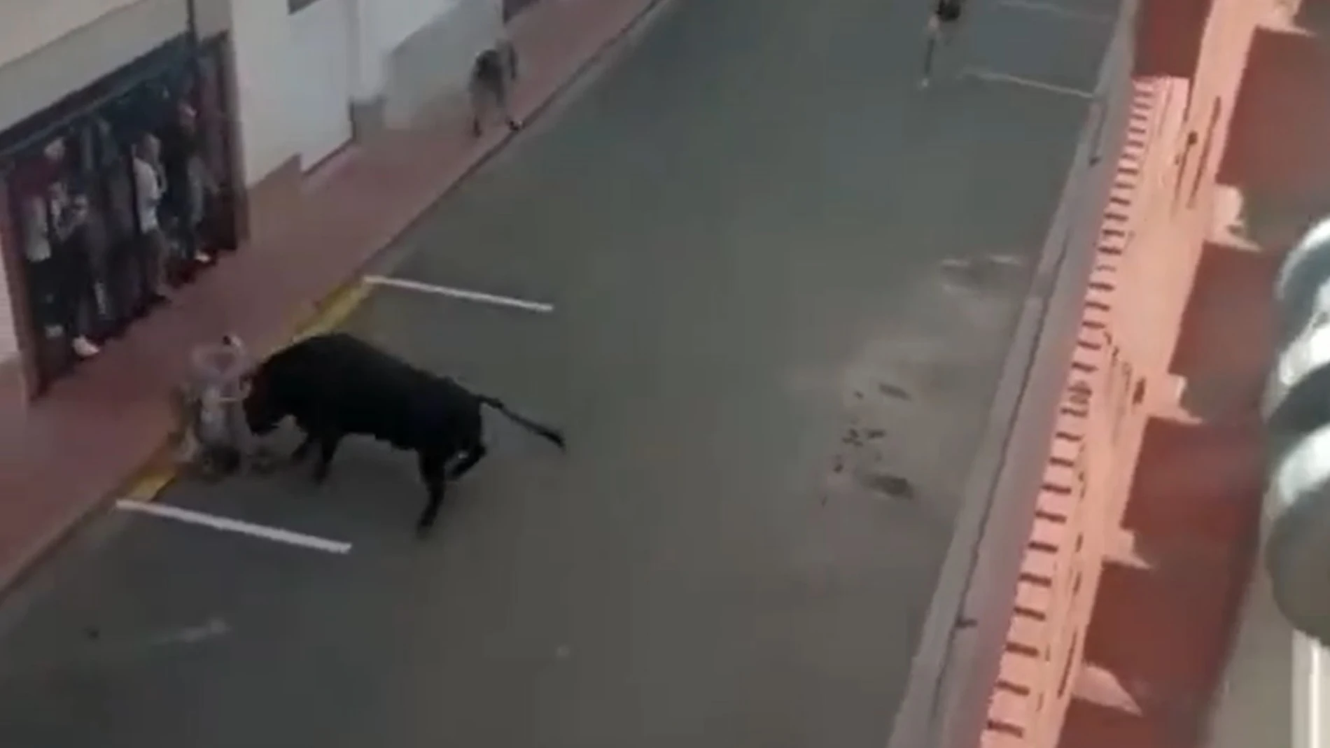 La impactante cogida por asta de toro en els "bous al carrer" de Puçol
