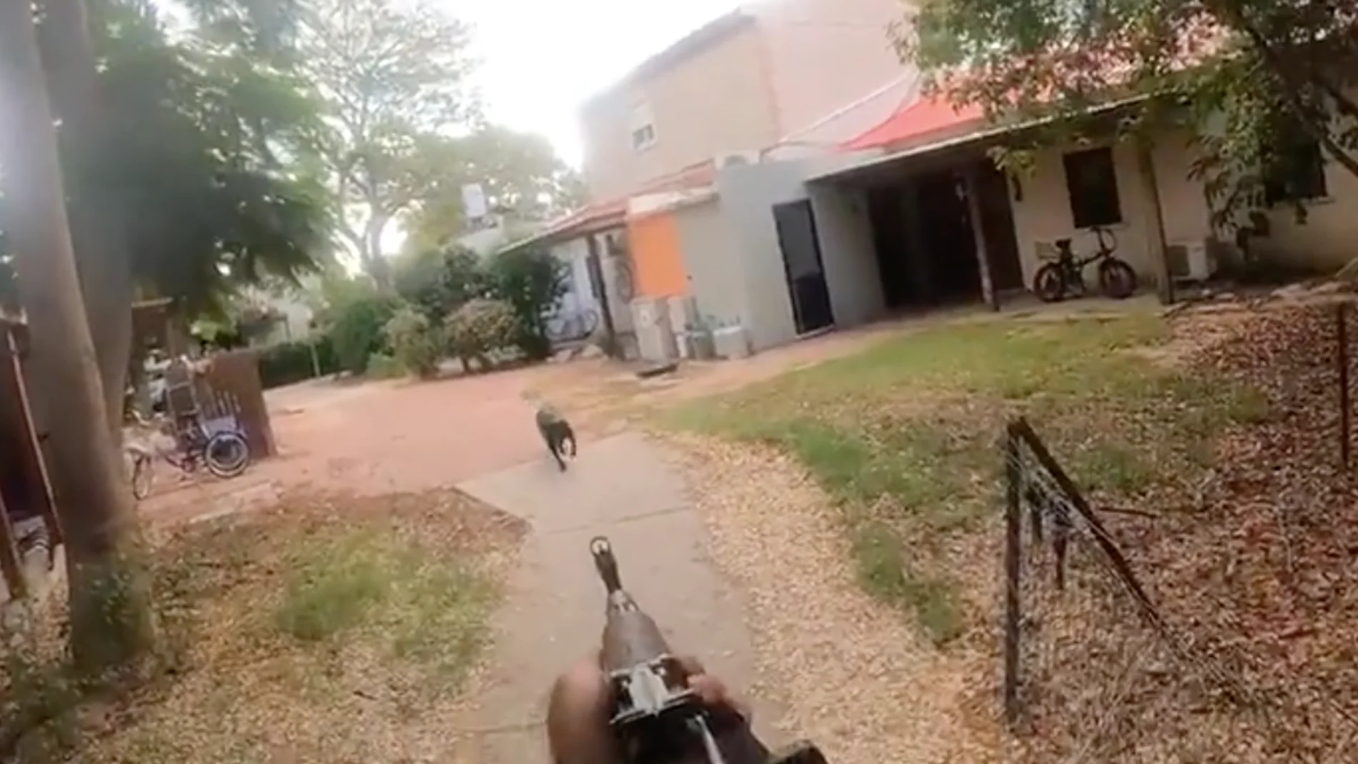 Asesinan un perro y prenden fuego a la casa