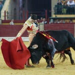 Toros en Zaragoza