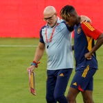 Entrenamiento del combinado nacional