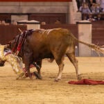 Toros el 12 de Octubre en Las Ventas @Gonzalo Pérez Mata 