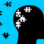 Crean el mayor atlas del cerebro hasta la fecha