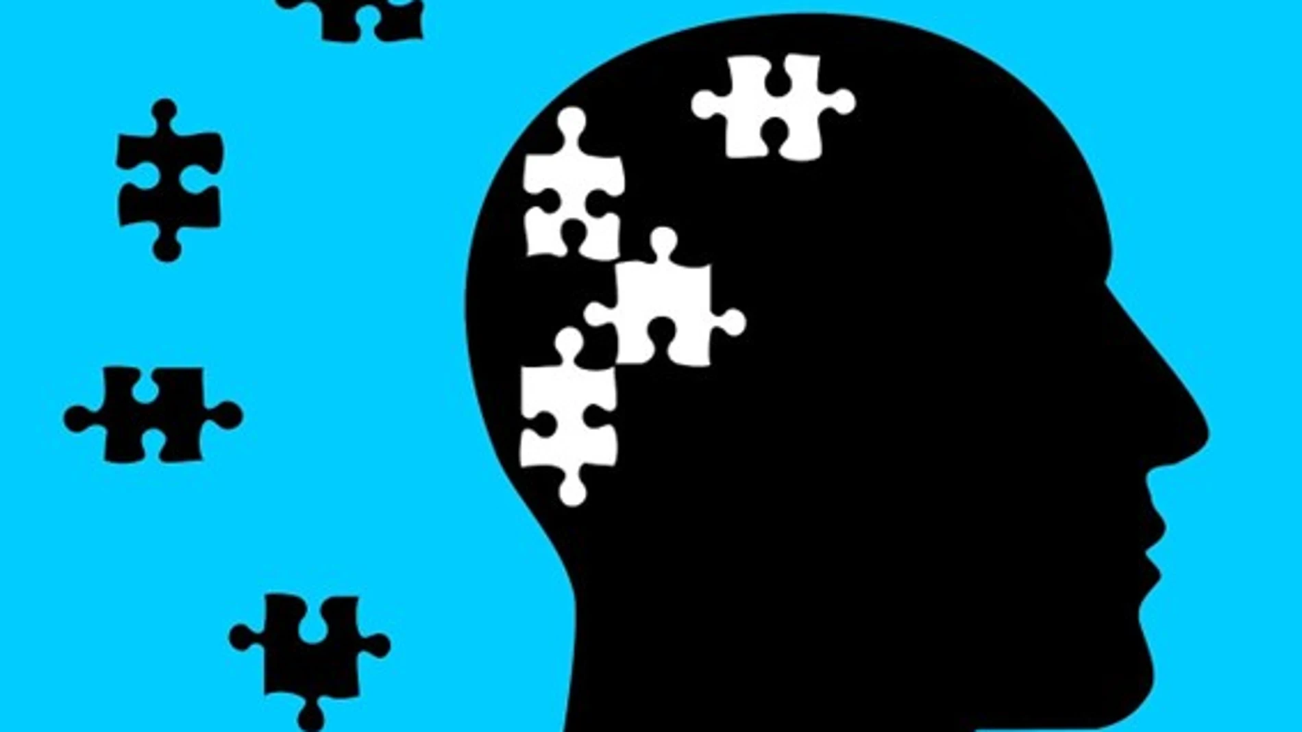 Crean el mayor atlas del cerebro hasta la fecha