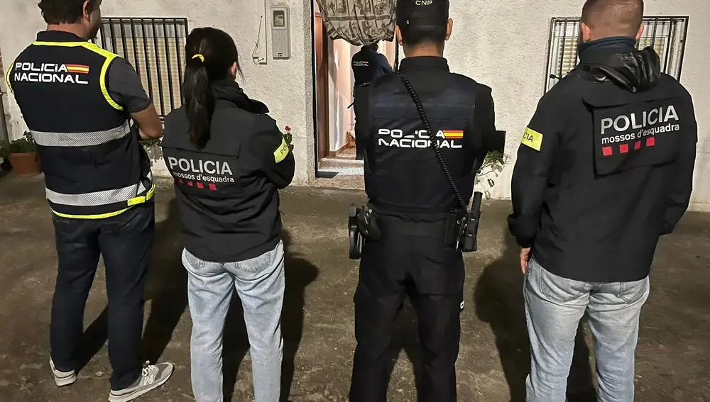 Dispositivo policial en marcha contra una organización neonazi en Cataluña, Madrid, Lugo, Toledo y Málaga