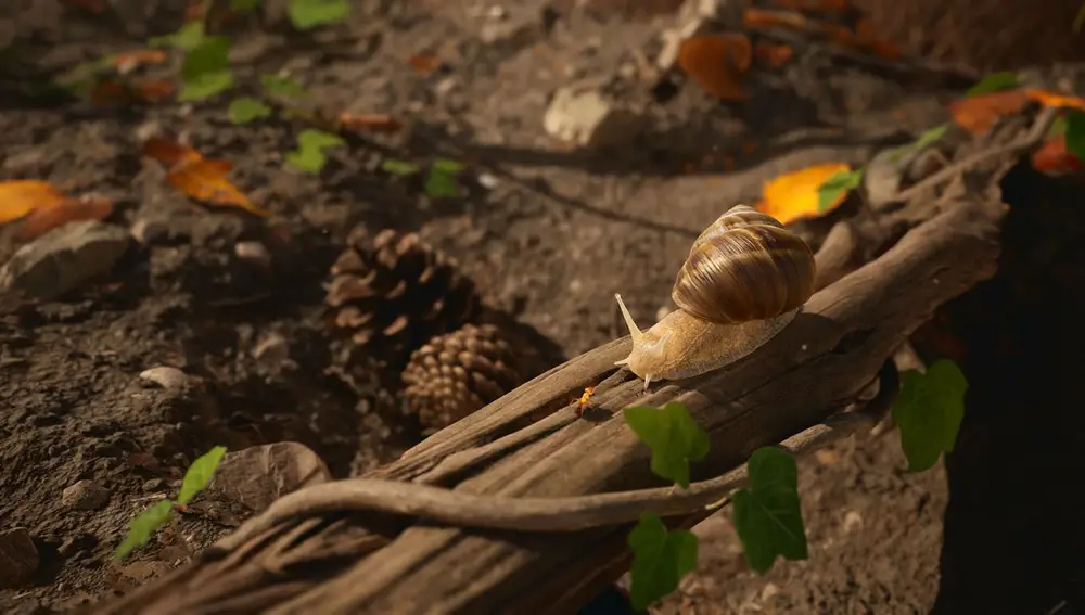 Empire of the ants.