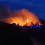 Espectacular incendio en el paraje de la Devesa de El Saler (Valencia)