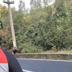 Ciclistas vascos 