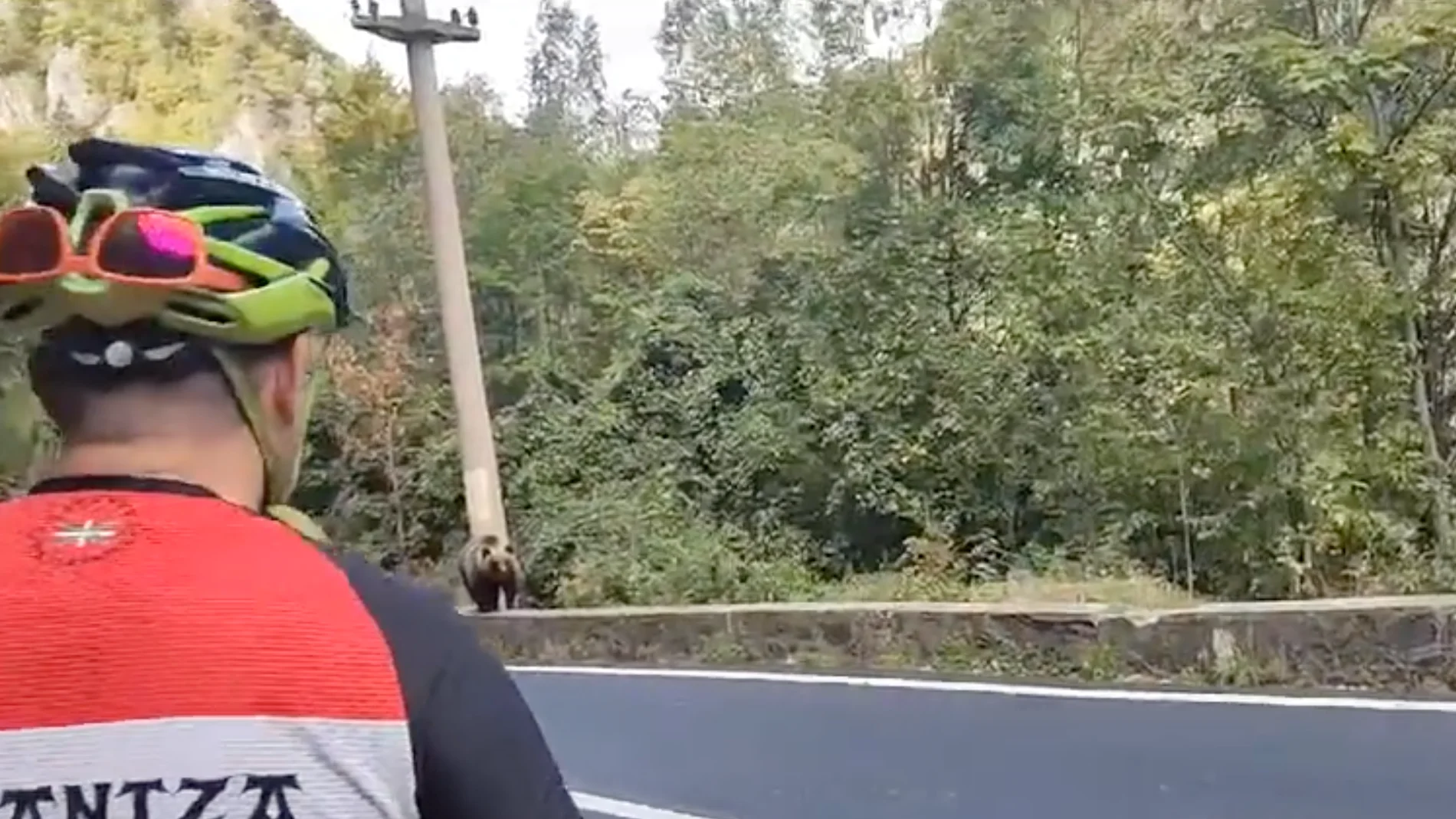 Ciclistas vascos