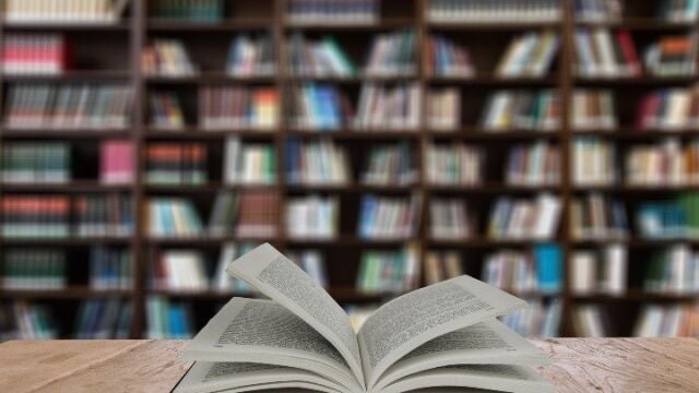 Las bibliotecas públicas municipales celebran su día con poesía, visitas guiadas y propuestas digitales