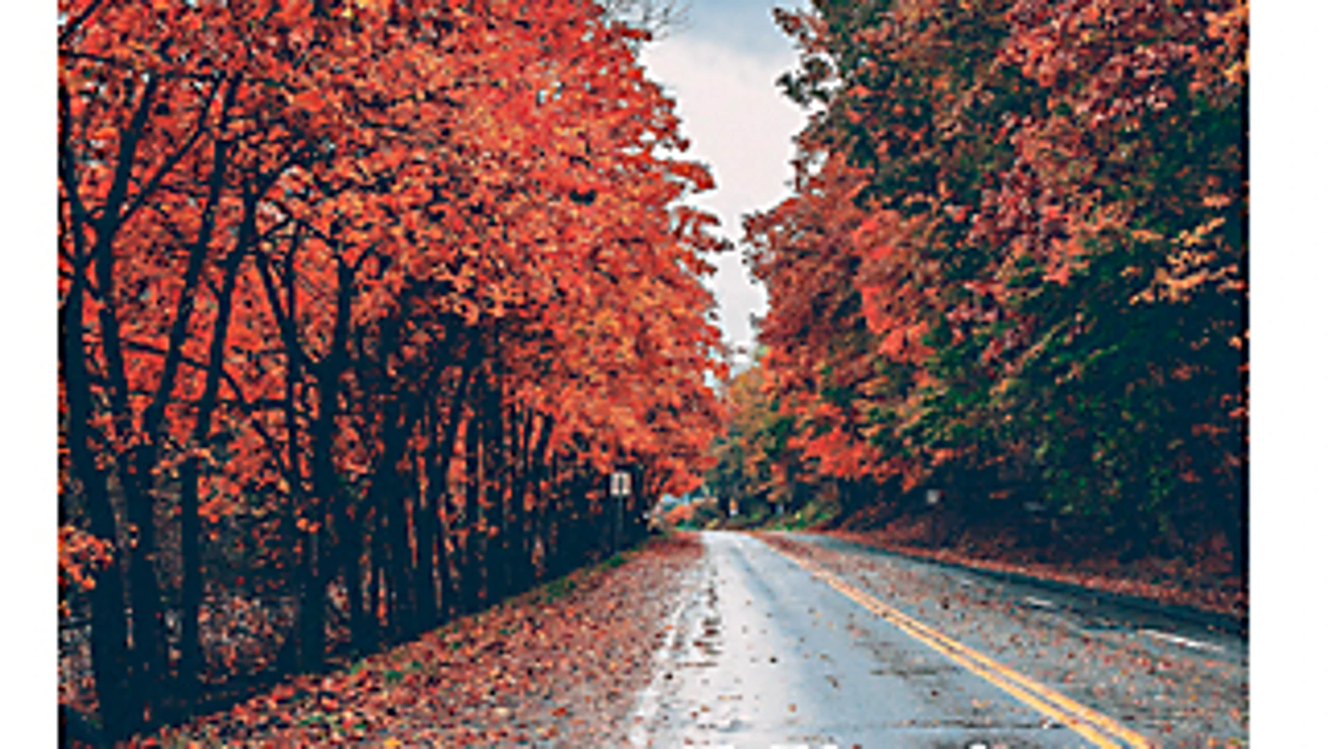 Suplemento Viajes de Otoño 20 Octubre 2023