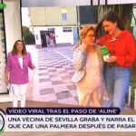 La sevillana que narró la caída de la palmera, en lo de Toñi Moreno: "Estaba aburrida y me puse en la ventana"
