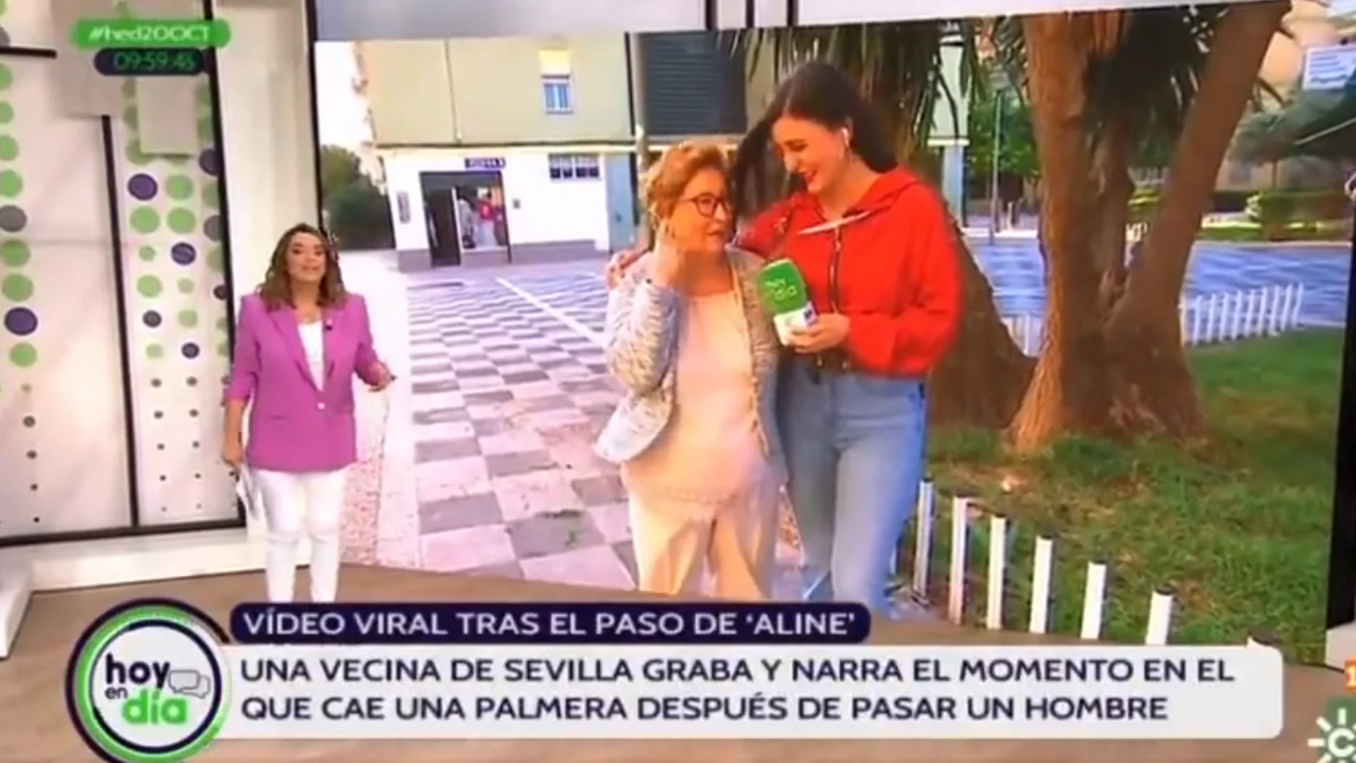 La sevillana que narró la caída de la palmera, en lo de Toñi Moreno: "Estaba aburrida y me puse en la ventana"