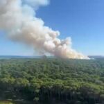 Nuevo incendio forestal en El Saler