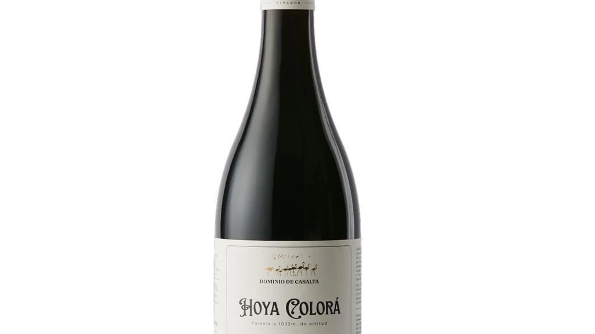 Pinot noir en Almansa