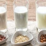 Leche vegetal