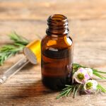 ¿Conoces los beneficios del aceite de árbol de té para combatir el acné?