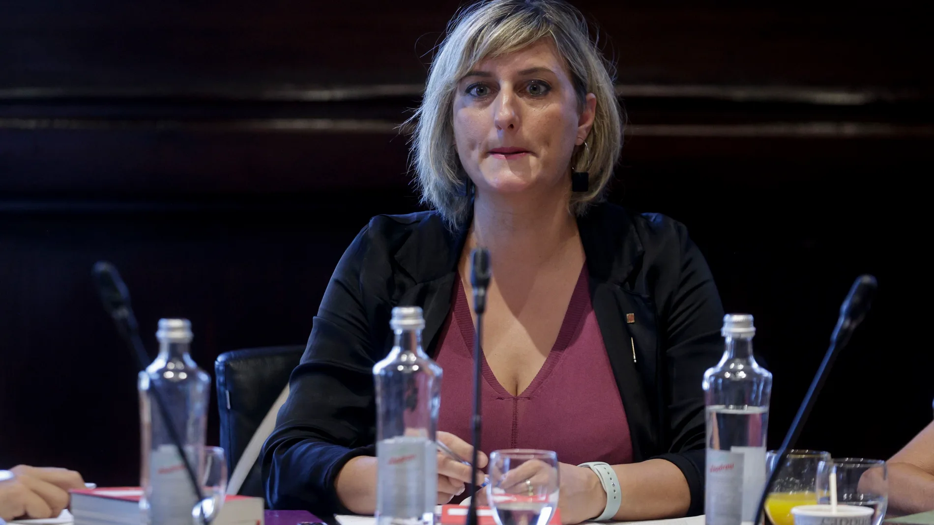 La ex consellera de Salud, Alba Vergés