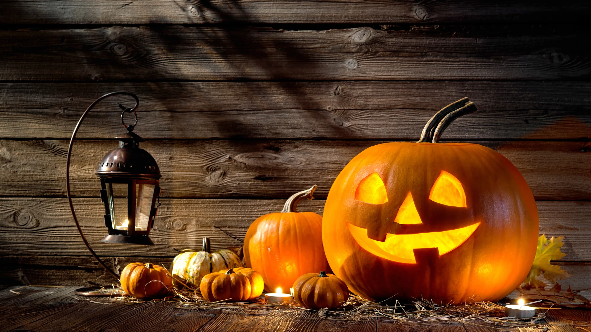 Imagen de archivo de calabazas