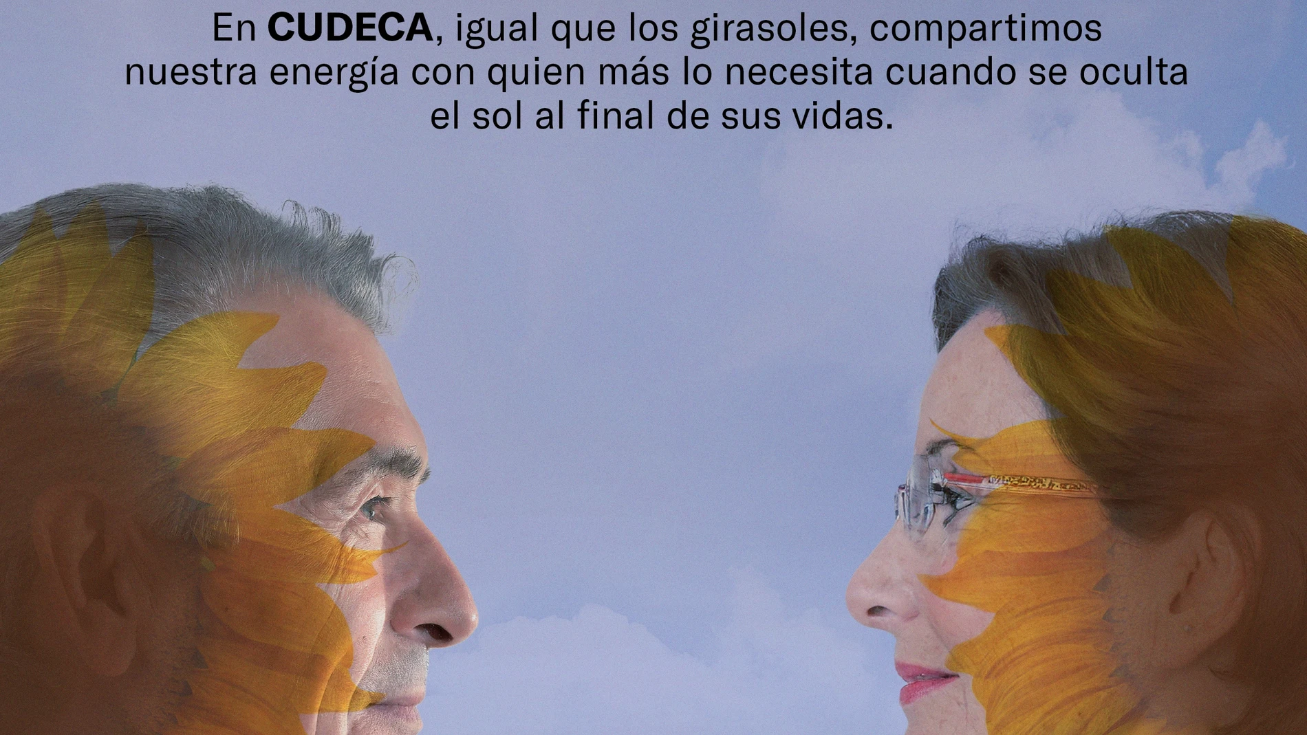 Cartel de la campaña