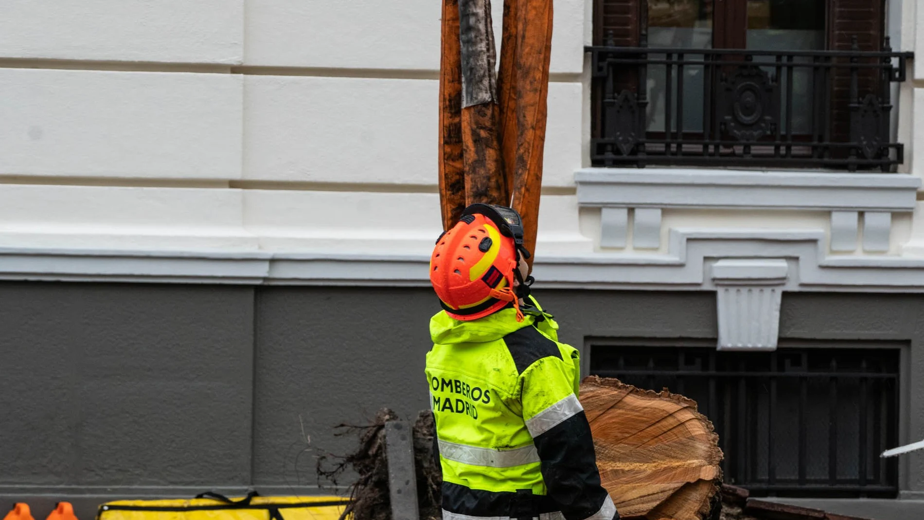 Un bombero ayuda a retirar los trozos del árbol caído, a 2 de noviembre de 2023, en Madrid (España). Una mujer de 23 años ha muerto y otras tres han sufrido heridas leves al principio de la calle Almagro de Madrid cuando un árbol se ha caído sobre un paso para peatones. El accidente ha sido como consecuencia de las fuertes rachas de viento que está dejando la borrasca Ciarán en Madrid. 02 NOVIEMBRE 2023;SUCESOS;ARBOL;FALLECIDA;ÁRBOL;TIEMPO;CLIMA;WEATHER; Matias Chiofalo / Europa Press 02/11/2023